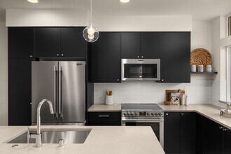 9203 Densmore Ave N in Seattle, WA - Building Photo - Building Photo