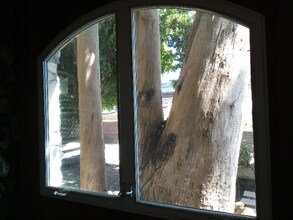 28831 Shady Ln in Laguna Beach, CA - Building Photo - Building Photo