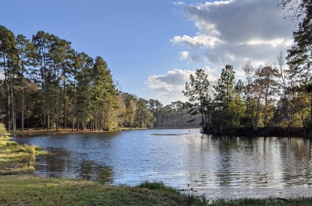 6029 Cessna Dr in Montgomery, TX - Building Photo - Building Photo