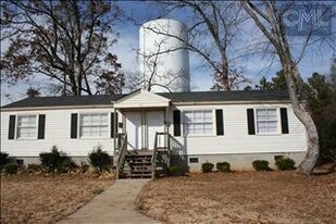 572 Old Bush River Rd, Unit Unit-B in Chapin, SC - Building Photo