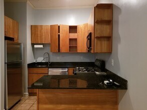 43 E Springfield St in Boston, MA - Building Photo - Building Photo