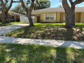 6907 Mathers Ln in Riverview, FL - Building Photo