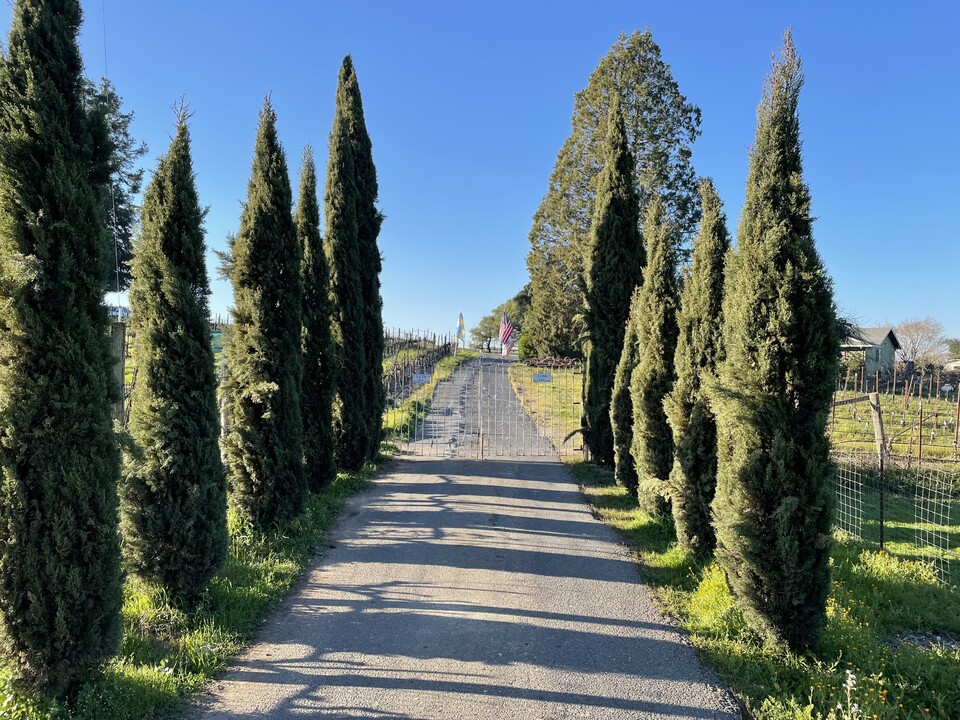 1179 Debbie Hill Rd in Cotati, CA - Building Photo