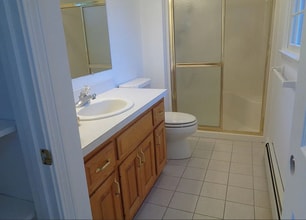 61 Hokum Rock Rd in Dennis, MA - Building Photo - Building Photo