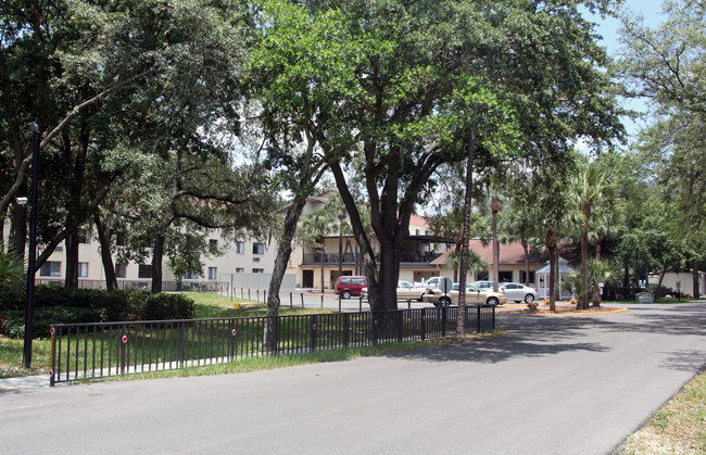 Acorn Trace Apartments in Tampa, FL - Foto de edificio - Building Photo