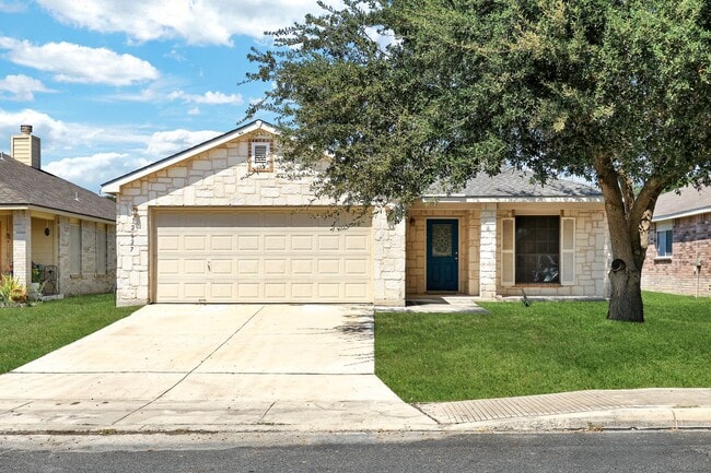 property at 12627 Mexican Plum