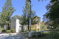 Furnished Studio - Mountain View in Mountain View, CA - Building Photo - Building Photo