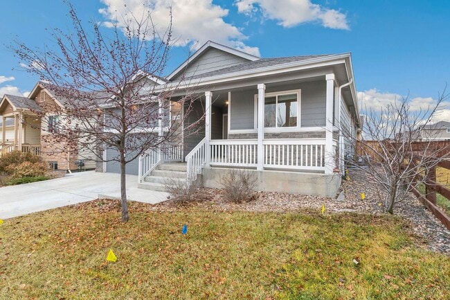 2110 Peach Blossom Dr in Windsor, CO - Building Photo - Building Photo