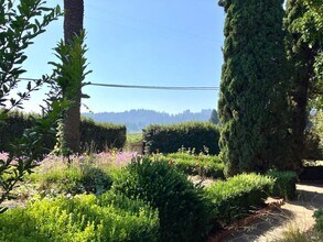 3575 Lambert Bridge Rd in Healdsburg, CA - Building Photo - Building Photo