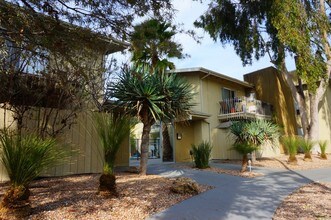 Buffalo Ave. Apartments in Sherman Oaks, CA - Building Photo - Building Photo