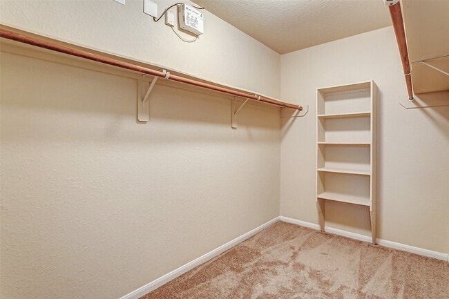 10818 Chestnut Path Way