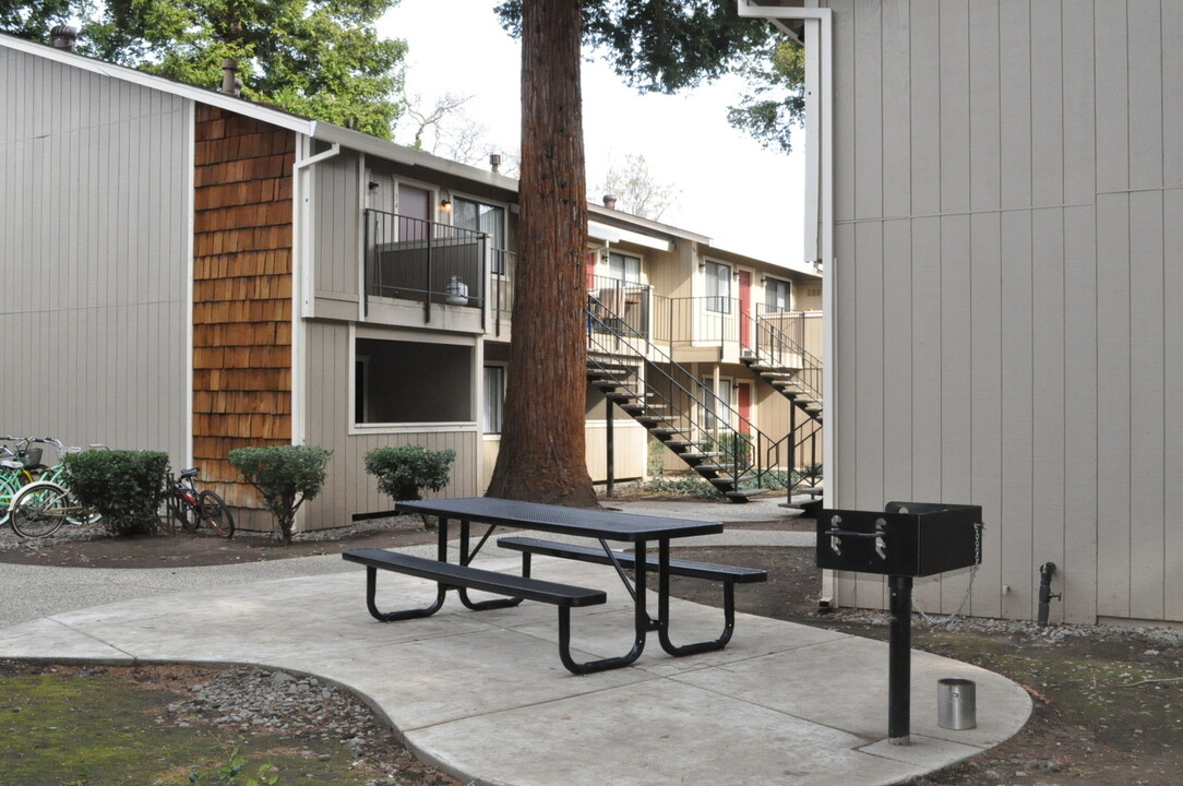 Stadium Village Apartments in Chico, CA - Building Photo