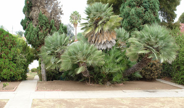 University Heights in San Diego, CA - Building Photo - Building Photo