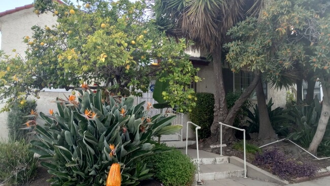 7967 Clinton St in Los Angeles, CA - Building Photo - Building Photo
