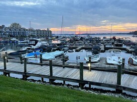 18857 Vineyard Point Ln, Unit Dockside in Cornelius, NC - Building Photo