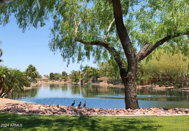property at 884 E La Costa Pl