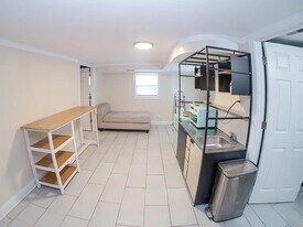 2154 W 22nd Pl in Chicago, IL - Building Photo