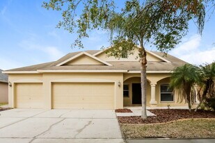 11719 Summer Springs Dr in Riverview, FL - Building Photo