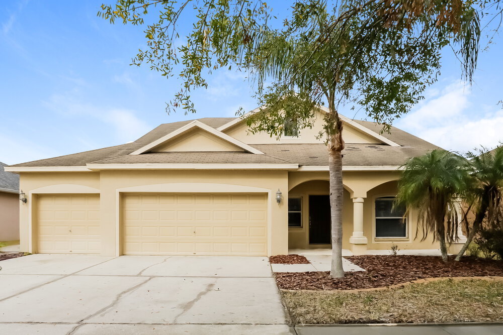 11719 Summer Springs Dr in Riverview, FL - Foto de edificio