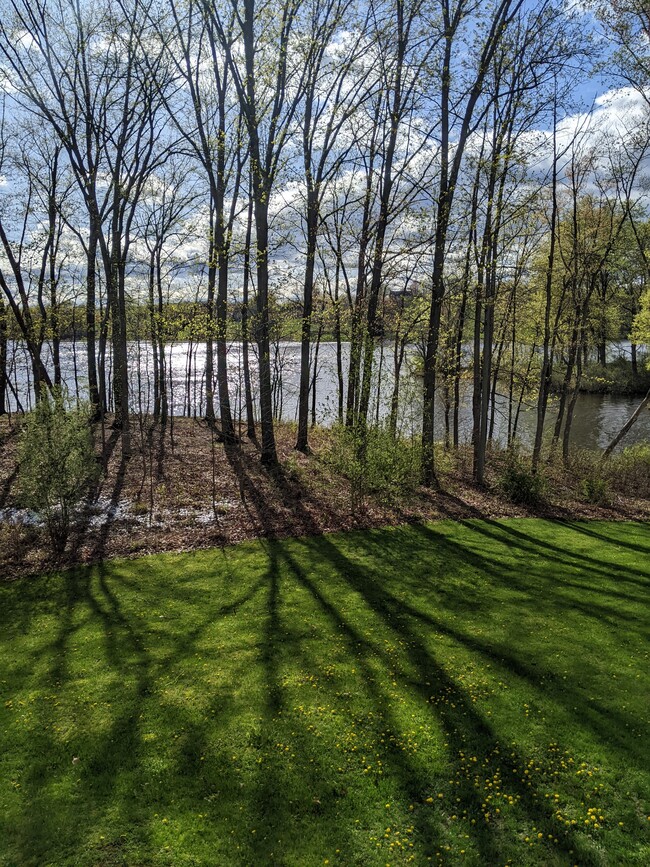 4 Hillside Cv, Unit Lake view