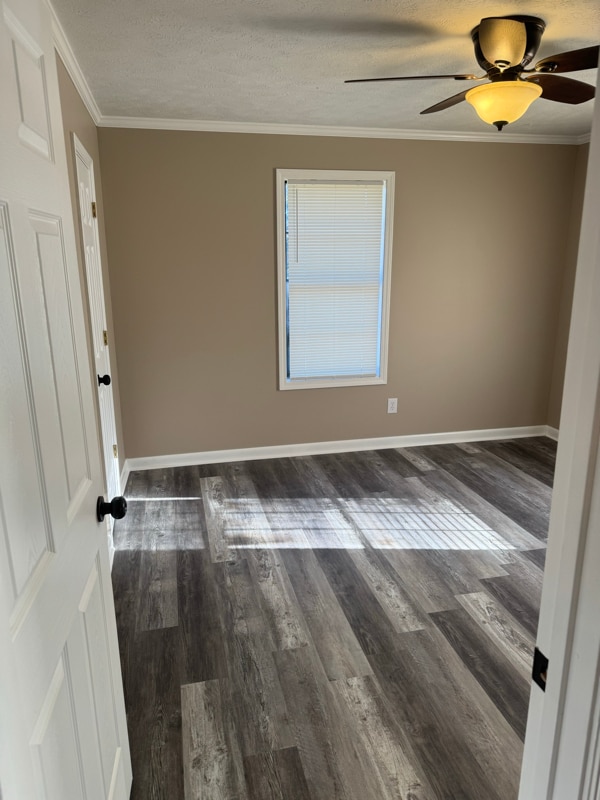 356 Co Rd 506 in Shannon, MS - Building Photo - Building Photo