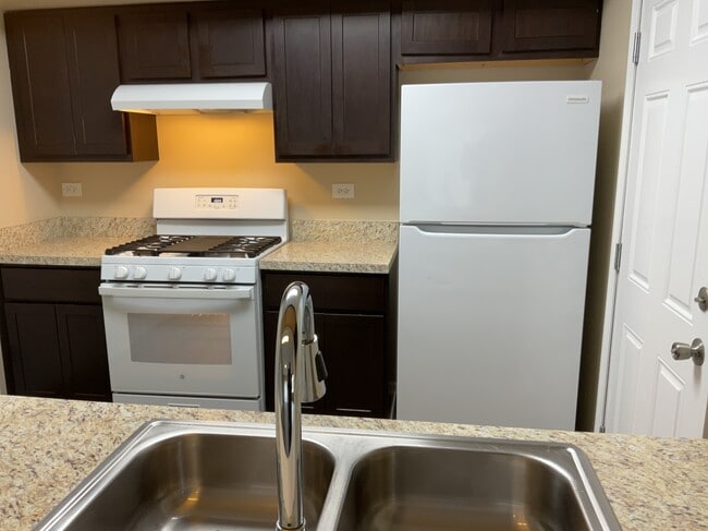 473 John Hancock Ct in Aurora, IL - Foto de edificio - Building Photo