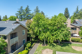 Trinity Woods Condominiums in Rancho Cordova, CA - Foto de edificio - Building Photo