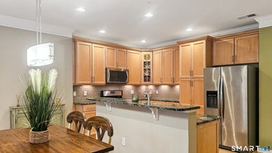 203 Center Meadow Ln in Danbury, CT - Building Photo - Building Photo