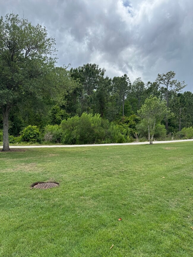 8447 Rothman Aly, Unit 8447 in Orlando, FL - Building Photo - Building Photo