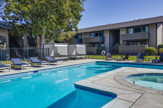 Birch Creek in Mountain View, CA - Building Photo - Building Photo