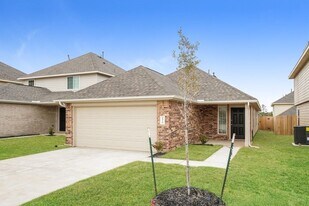 2510 Grayling Dr in Shenandoah, TX - Building Photo