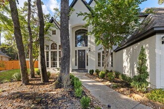 90 W Horizon Ridge Pl in Spring, TX - Building Photo - Building Photo