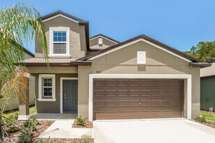 2045 Skybrooke Blvd in Lutz, FL - Building Photo