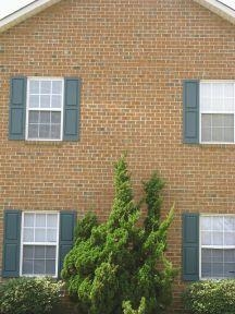 Hampton Court Apartments in Greenville, NC - Building Photo