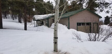 107 S Driver Ct in Pagosa Springs, CO - Building Photo - Building Photo