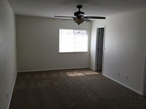 18737 E 51st Pl in Denver, CO - Building Photo - Building Photo
