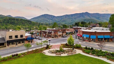 100 Beech St in Black Mountain, NC - Building Photo - Building Photo