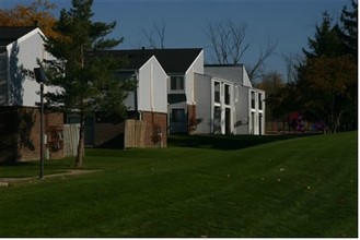 Whitney Young Village Apartments in Grand Rapids, MI - Building Photo - Building Photo