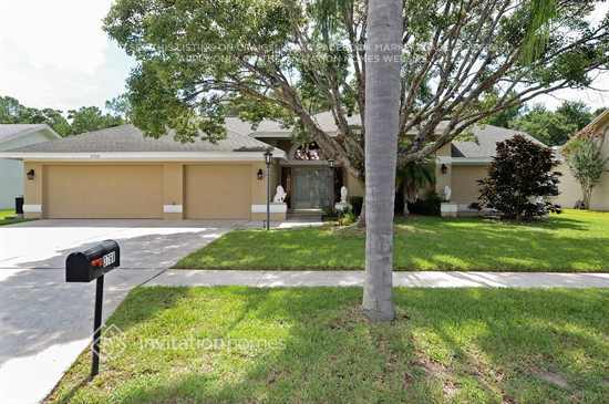 3768 Windber Blvd in Palm Harbor, FL - Building Photo