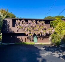 1216 Spruce St, Unit 1216-1/2 Spruce in Berkeley, CA - Building Photo