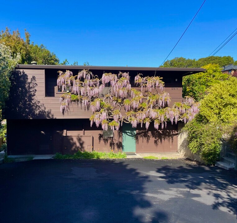 1216 Spruce St, Unit 1216-1/2 Spruce in Berkeley, CA - Building Photo