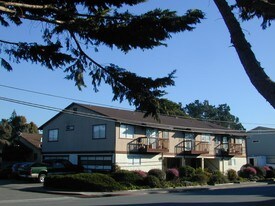 251 Pilarcitos Ave in Half Moon Bay, CA - Building Photo