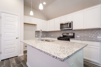17905 Lungo St in Pflugerville, TX - Building Photo - Building Photo