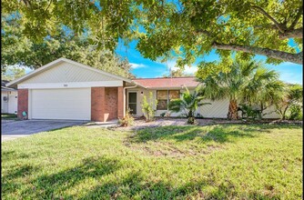 309 Lakeview Dr in Oldsmar, FL - Foto de edificio - Building Photo