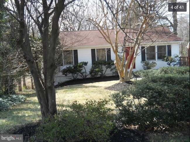 8518 Adelphi Rd in Adelphi, MD - Building Photo - Building Photo