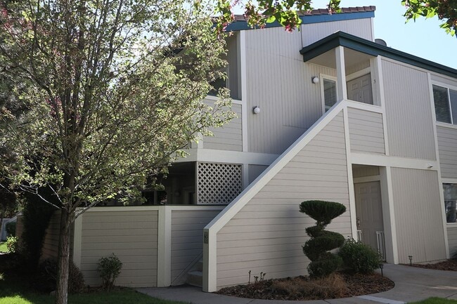 property at 2659 Sycamore Glen Dr