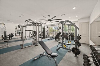 Avasa Spring Branch in Houston, TX - Building Photo - Building Photo