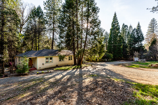 11459 Red Dog Rd in Nevada City, CA - Building Photo - Building Photo