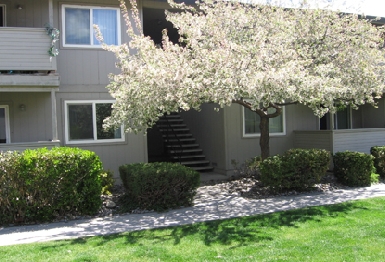 Parkway Plaza Apartments in Carson City, NV - Building Photo