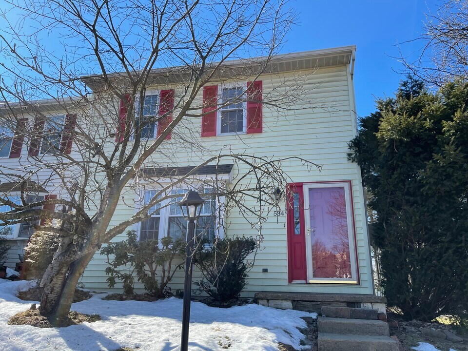 534 Nicholas Ave in Danville, PA - Building Photo